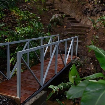 Volcano Gold Loft La Fortuna المظهر الخارجي الصورة