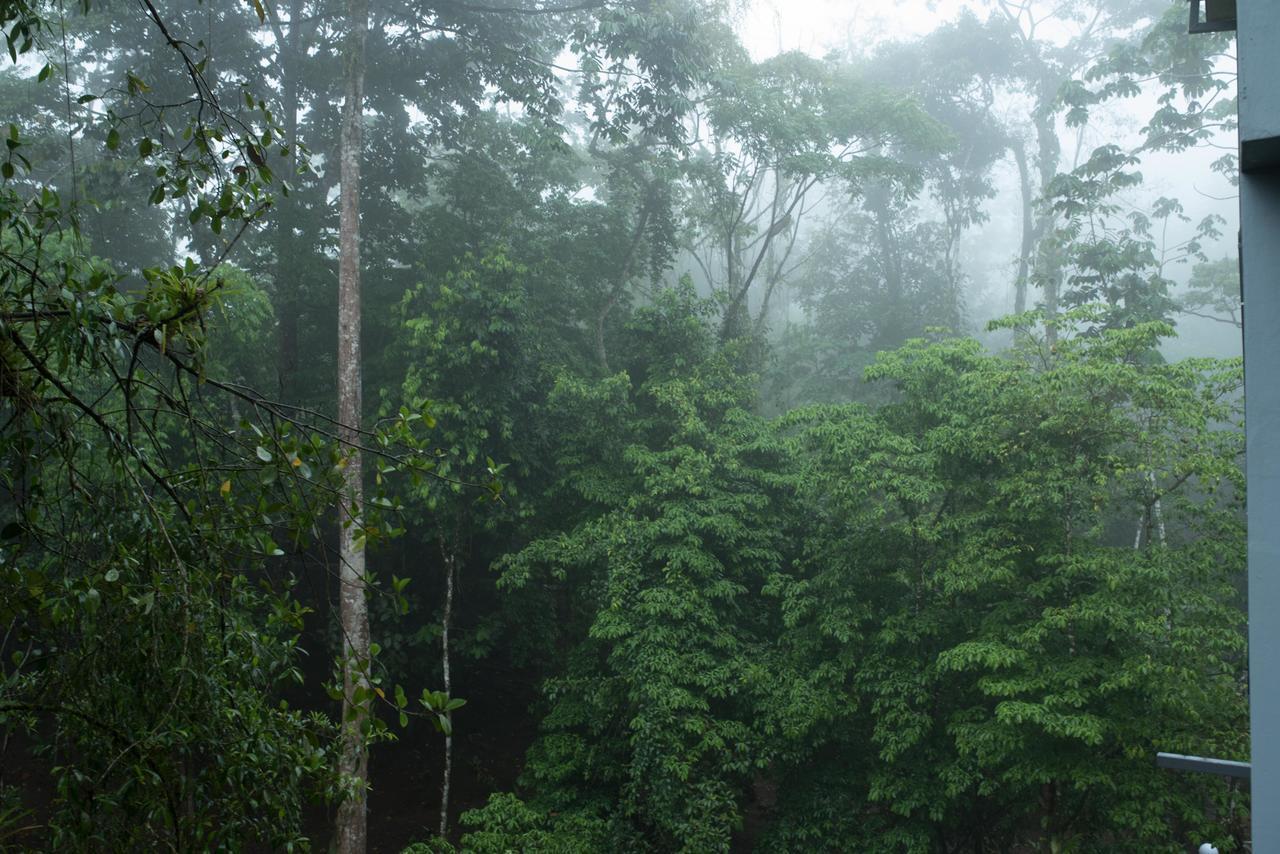 Volcano Gold Loft La Fortuna المظهر الخارجي الصورة