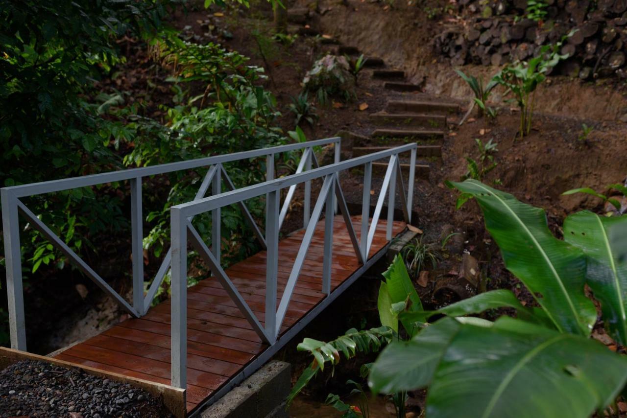 Volcano Gold Loft La Fortuna المظهر الخارجي الصورة