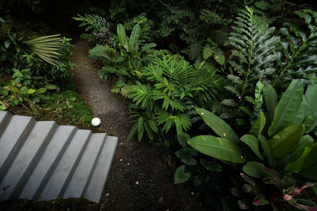 Volcano Gold Loft La Fortuna المظهر الخارجي الصورة