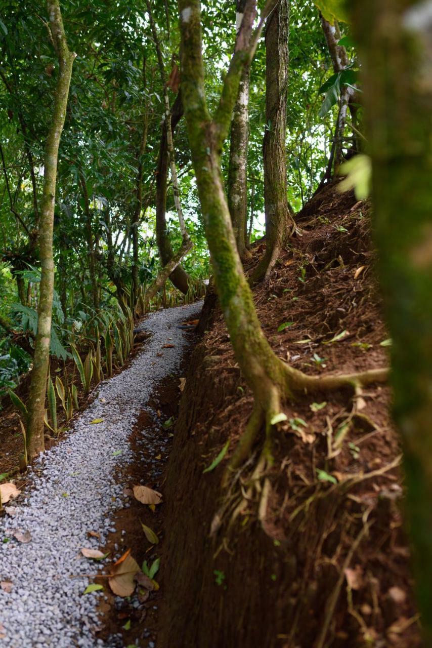 Volcano Gold Loft La Fortuna المظهر الخارجي الصورة