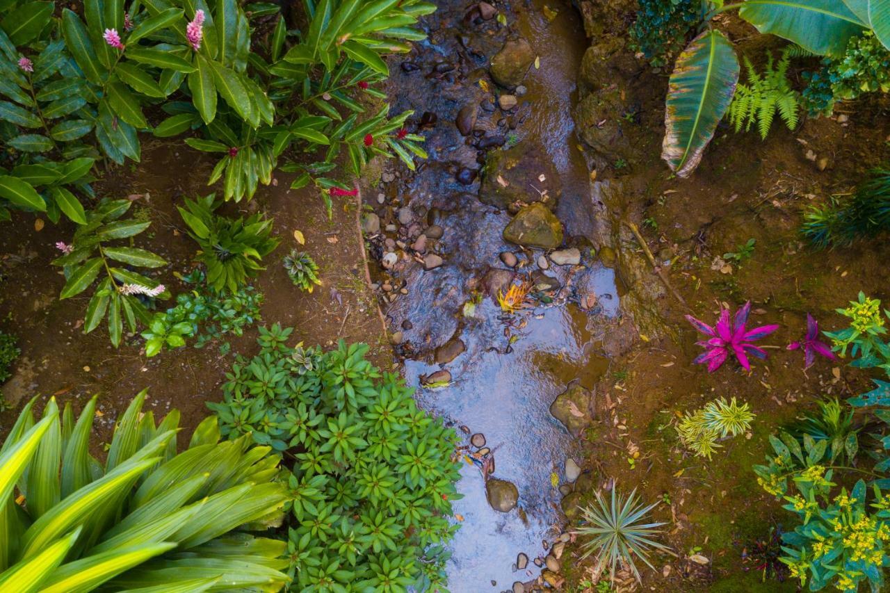 Volcano Gold Loft La Fortuna المظهر الخارجي الصورة