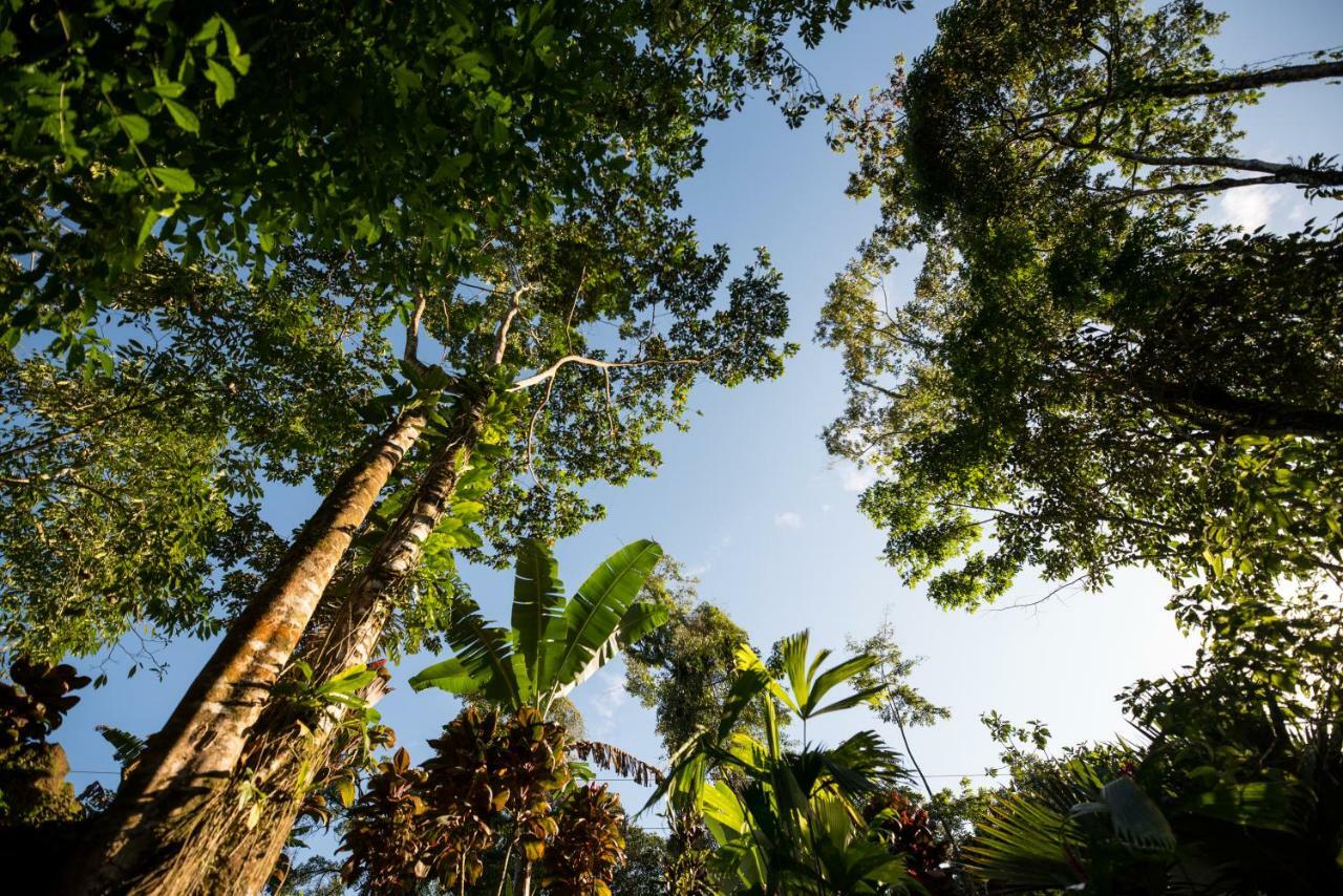 Volcano Gold Loft La Fortuna المظهر الخارجي الصورة
